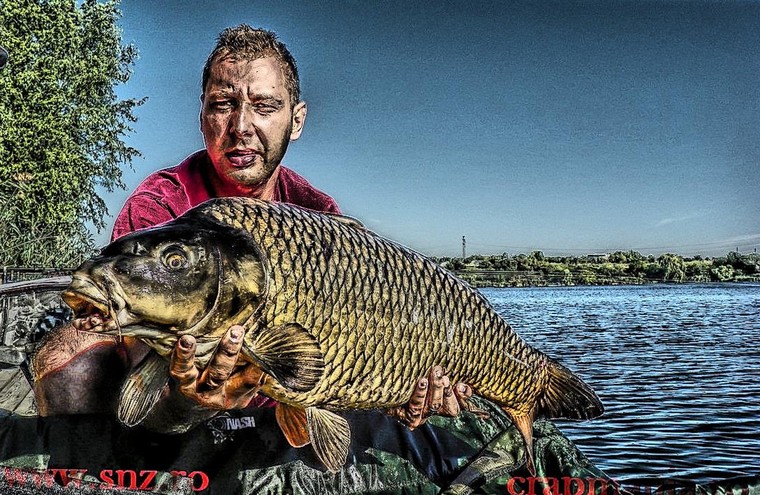 Debutmania - 2013 (3) - 1030607hdrmode2.JPG